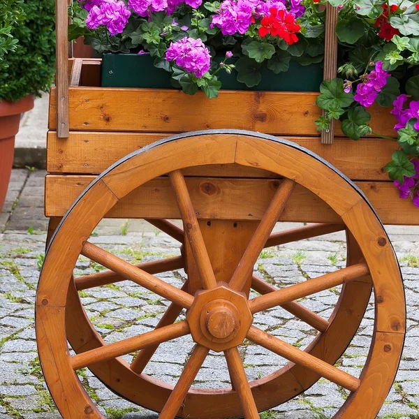 体育博彩街机游戏